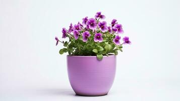 Photo of Nemesia flower in pot isolated on white background. Generative AI