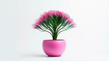 Photo of Peacock flower in pot isolated on white background. Generative AI