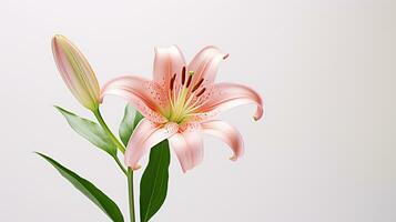 Photo of beautiful Lily flower isolated on white background. Generative AI