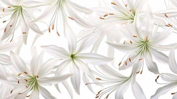 Spider Lily flower patterned background. Flower texture background. Generative AI photo