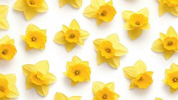 Daffodil flower patterned background. Flower texture background. Generative AI photo