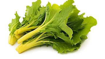 Photo of Mustard greens isolated on white background. Generative AI