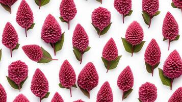 Celosia flower patterned background. Flower texture background. Generative AI photo