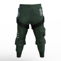 a pair of green cargo pants with black zippers png