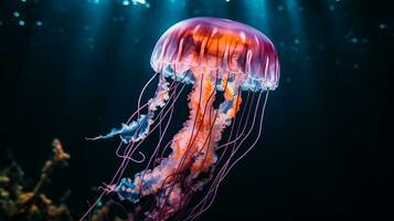 Wildlife photography of Photo of Jellyfish. Generative AI