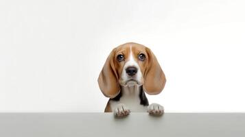 foto de un beagle en blanco antecedentes. generativo ai