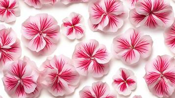 Dianthus flower patterned background. Flower texture background. Generative AI photo