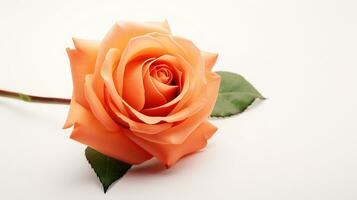 Photo of beautiful Rose flower isolated on white background. Generative AI