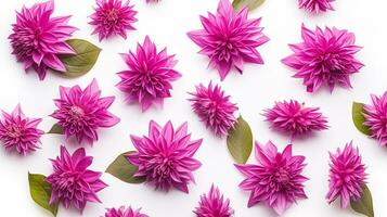 Bee Balm flower pattern background. Bee Balm flower background texture. Generative AI photo