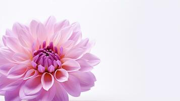 foto de hermosa valores flor aislado en blanco antecedentes. generativo ai