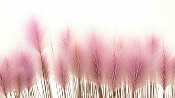 Fountain Grass flower patterned background. Flower texture background. Generative AI photo