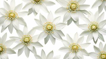 Edelweiss flower patterned background. Flower texture background. Generative AI photo