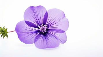 Photo of beautiful Violet flower isolated on white background. Generative AI