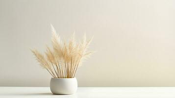 Photo of Feather Reed Grass flower in pot isolated on white background. Generative AI