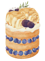 Watercolor of blueberries vanilla cake png