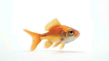 Photo of a molly fish on white background. Generative AI