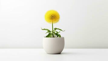 Photo of Dandelion flower in pot isolated on white background. Generative AI