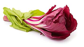 Photo of Radicchio isolated on white background. generative ai