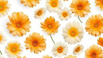 Calendula flower pattern background. Flower background texture. Generative AI photo