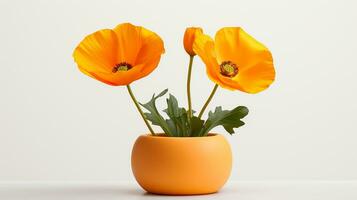 Photo of California Poppy flower in pot isolated on white background. Generative AI