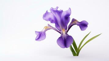 Photo of beautiful Iris flower isolated on white background. Generative AI