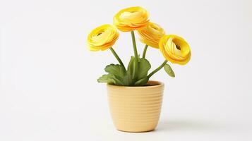 Photo of Ranunculus flower in pot isolated on white background. Generative AI
