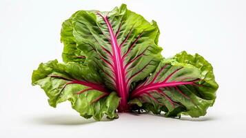 Photo of beautiful Swiss Chard flower isolated on white background. Generative AI