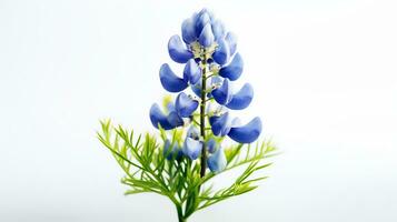 foto de hermosa bluebonnet flor aislado en blanco antecedentes. generativo ai