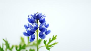 Photo of beautiful Bluebonnet flower isolated on white background. Generative AI