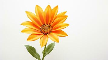 foto de hermosa gazania flor aislado en blanco antecedentes. generativo ai