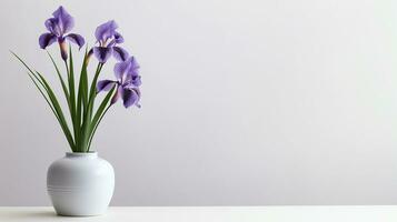 Photo of Iris flower in pot isolated on white background. Generative AI