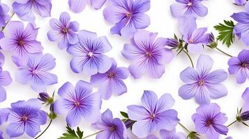 Cranesbill flower patterned background. Flower texture background. Generative AI photo