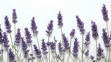 Lavender flower patterned background. Flower texture background. Generative AI photo