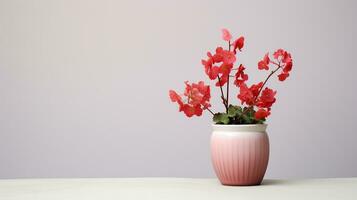 Photo of Heuchera flower in pot isolated on white background. Generative AI