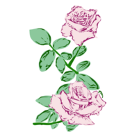 Pink rose flower design illustration. Perfect for poster, website, banner, book cover, invitation, video, sticker or tattoo elements. png