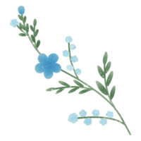 färgrik blommor botanisk växt illustration transparent bakgrund png
