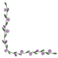 Colorful flowers Botanical plant illustration transparent background png