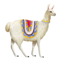 aguarela lhama ou alpaca com tradicional decoração e cobertor mão desenhado ilustração. fofa Fazenda animal para crianças desenhos, impressão ou parede arte png