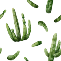 waterverf saguaro cactussen naadloos patroon. woestijn Mexicaans western Amerikaans planten van wild west png