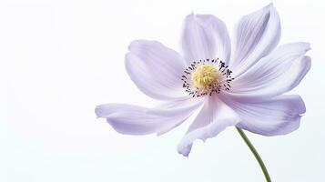 foto de hermosa windflower aislado en blanco antecedentes. generativo ai