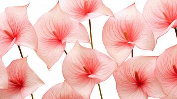 Flamingo flower patterned background. Flower texture background. Generative AI photo