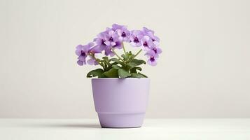 foto de nemesia flor en maceta aislado en blanco antecedentes. generativo ai