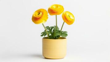 Photo of Ranunculus flower in pot isolated on white background. Generative AI