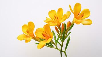 Photo of beautiful Freesia flower isolated on white background. Generative AI