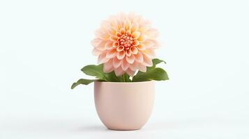 Photo of Dahlia flower in pot isolated on white background. Generative AI