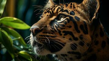 de cerca foto de un africano leopardo mirando ninguna dirección en selva. generativo ai