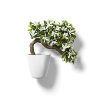 Top up view office plant on white pot. png
