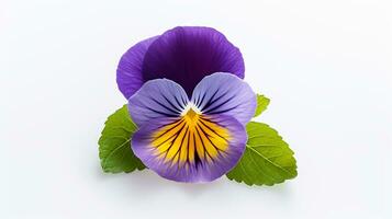 Photo of beautiful Pansy flower isolated on white background. Generative AI