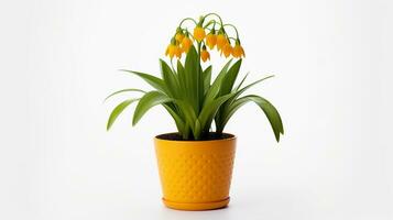 Photo of Fritillaria flower in pot isolated on white background. Generative AI