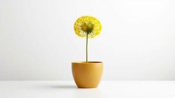 Photo of Dandelion flower in pot isolated on white background. Generative AI